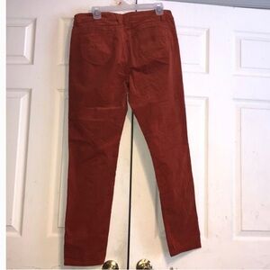 Signature Studio women’s Burnt Orange Courderoy pant size 16